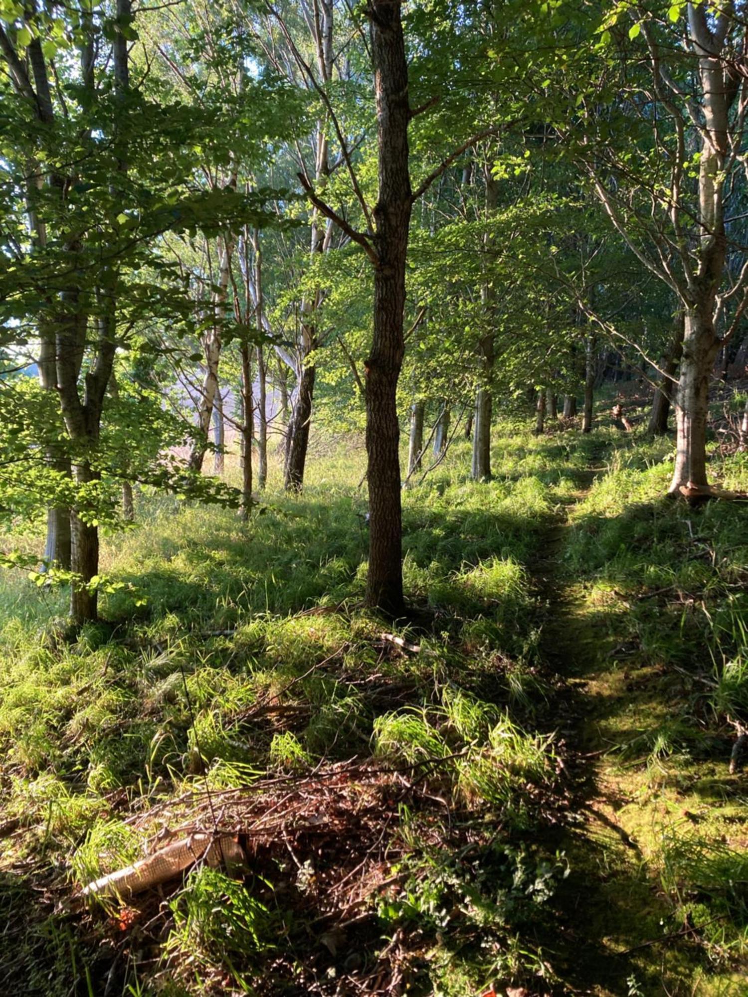 Highland Holiday home