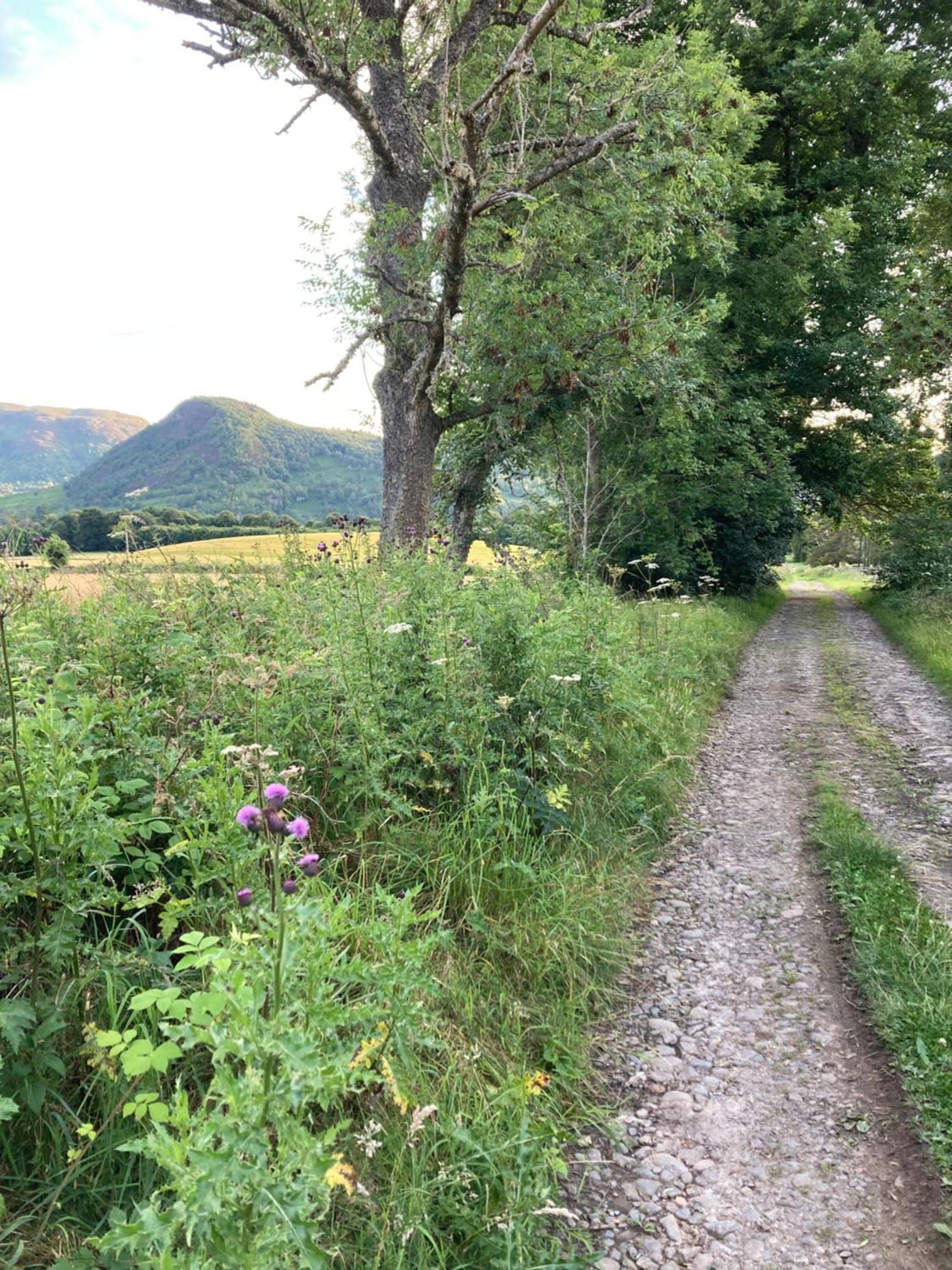 Highland Contin